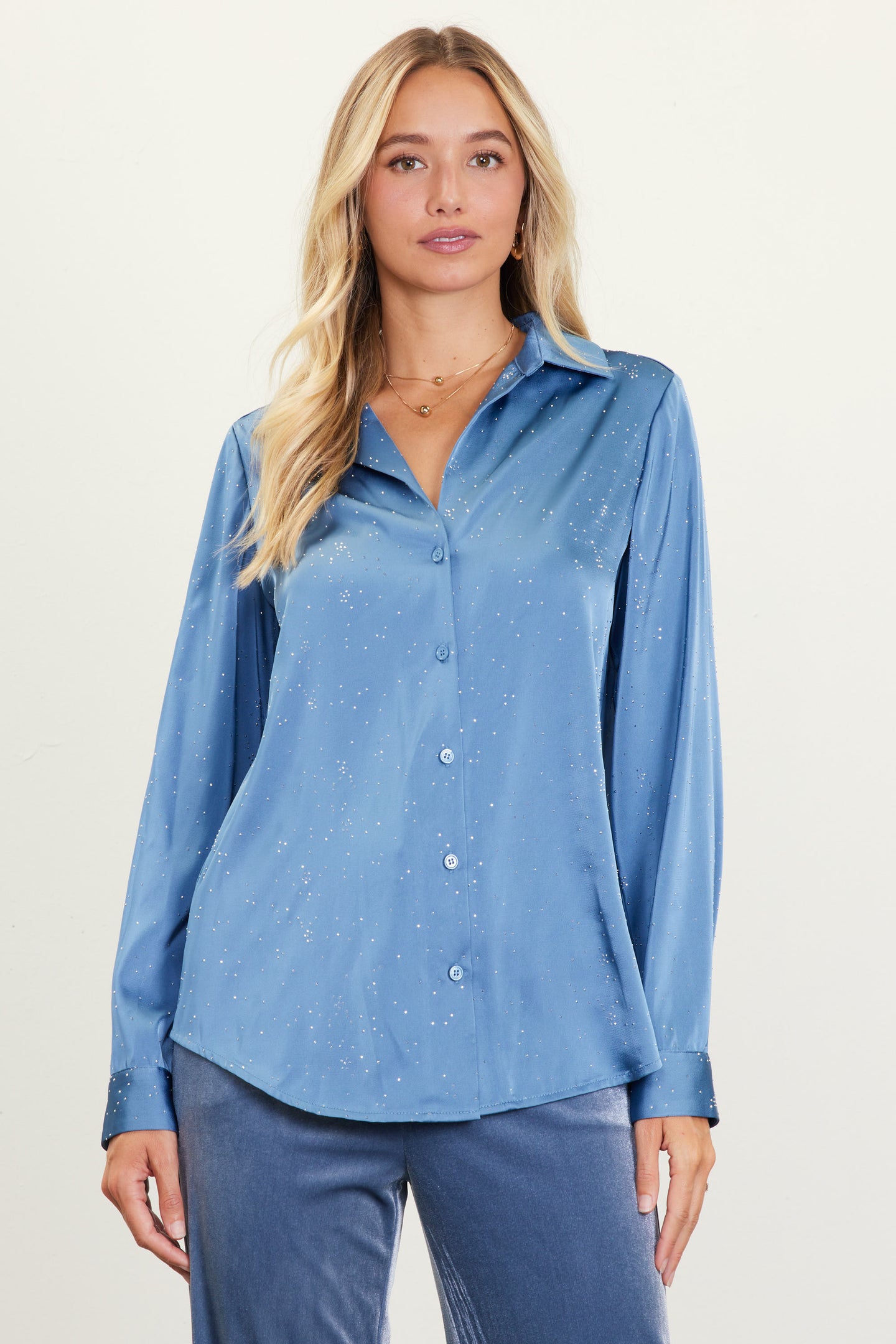 Shimmery Button Down Blouse