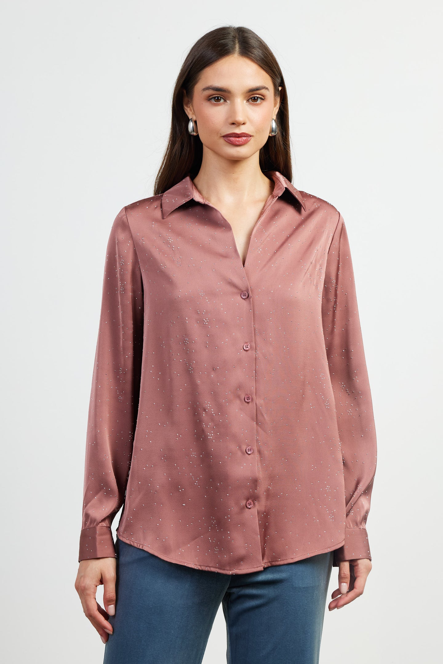 Shimmery Button Down Blouse