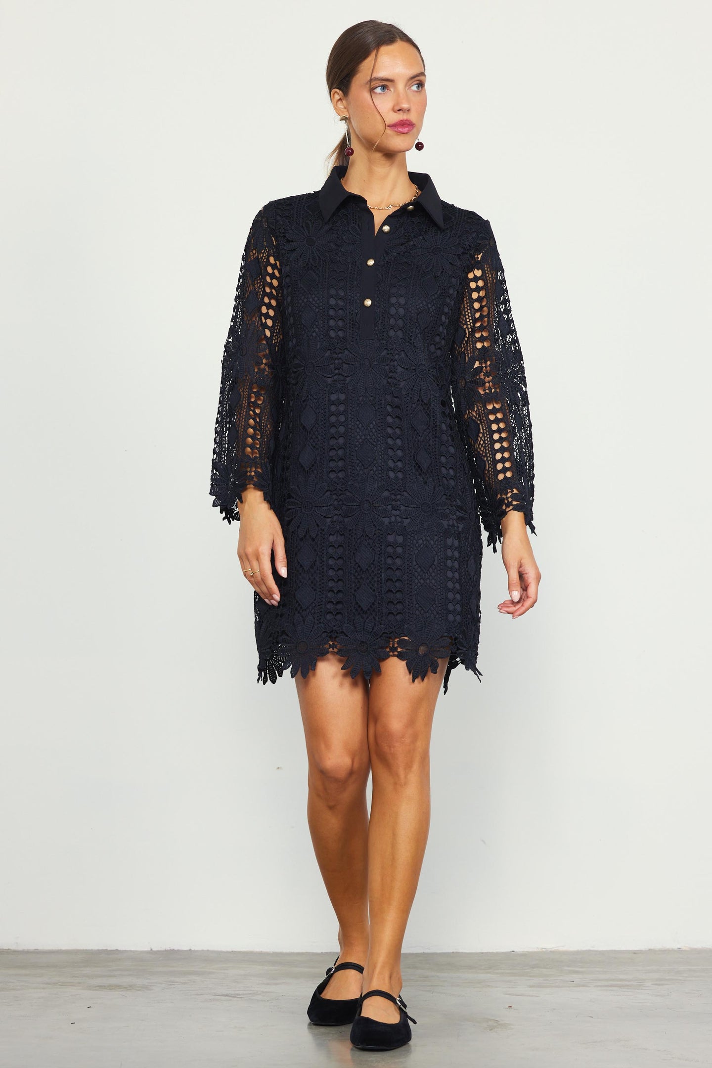 Embroidered Eyelet Lace Mini Dress