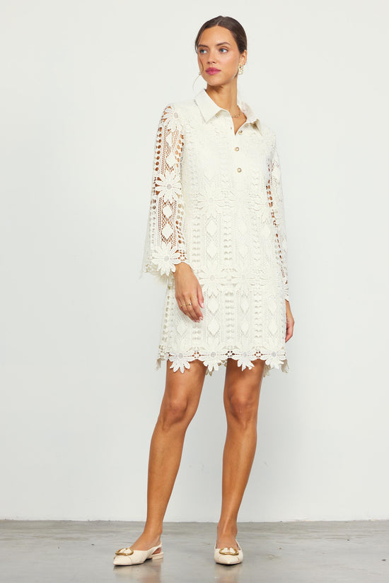 Embroidered Eyelet Lace Mini Dress